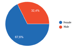 Genre of textile artisans surveyed.