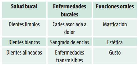 Categoría “conocimiento” y sus atributos o subcategorías