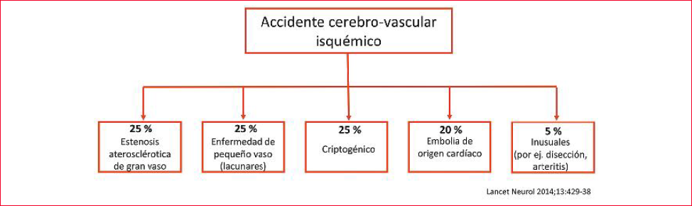 Subtipos de ACV isquémicos en poblaciones norteamericanas y europeas, según la clasificación TOAST. 