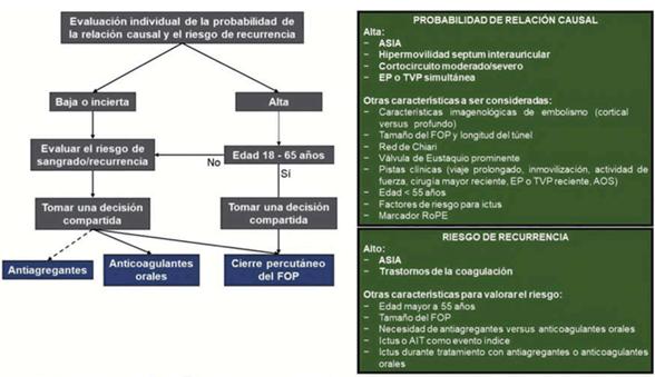 Figura 3