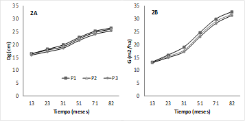 Perfiles longitudinales de las 3 intensidades de poda evaluadas en P. elliottii var elliottii x P. caribaea var hondurensis. 1A) dimetro cuadrtico medio (cm) y, 1B) rea basal (m2.ha-1).