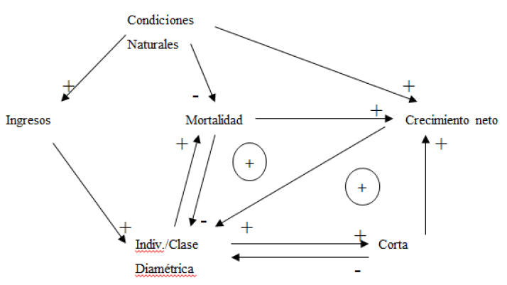 Diagrama causal del sistema forestal.
