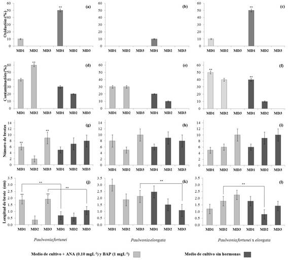 Porcentaje de oxidacin, contaminacin, nmero de brotes y longitud promedio de brotes ( error estndar) por especies, mtodos de desinfeccin y medios de cultivo. Las especies estn representadas en columnas y variables en filas. Los medios de cultivo se distinguen por colores gris oscuro (sin hormonas) y gris claro (con hormonas) y los mtodos de desinfeccin como MD1 al MD3. Los asteriscos sobre las barras identifican diferencias significativas (p<0,05) entre los mtodos de desinfeccin, mientras que los asteriscos ubicados sobre las lneas muestran diferencias (p<0,05) entre medios de cultivo.