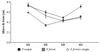 Grfica que muestra el efecto de la interaccin entre los 4 mtodos de multiplicacin y las tres especies del gnero Paulownia analizadas sobre la altura de los brotes. La escala de grises y los smbolos describen a las especies. La variable altura de brote fue transformada utilizando logaritmo natural para cumplir con los supuestos de normalidad y homogeneidad de varianzas, sin embargo, en esta grfica se presentan los valores originales para mayor comprensin.
