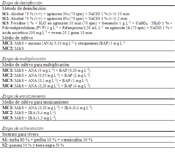Descripcin de los tratamientos utilizados en la evaluacin del protocolo para multiplicacin in vitro de las tres especies del gnero Paulownia con fines de propagacin a gran escala.