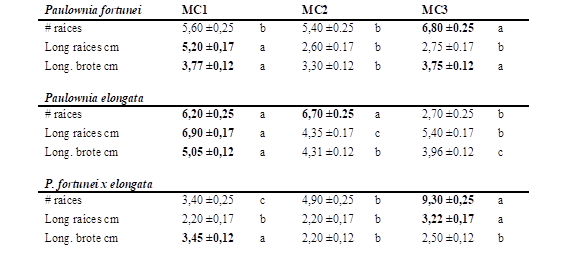 Promedio de nmero de races, longitud de races (cm) y longitud de brote (cm) ( error estndar) por especies y medio de cultivo de enraizamiento.