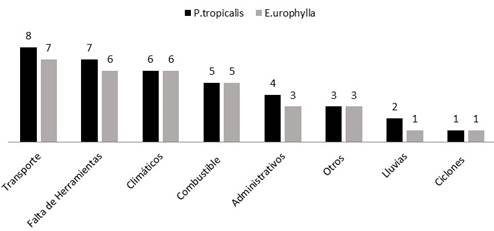 Análisis de los factores que influyen en el
aprovechamiento de la semilla