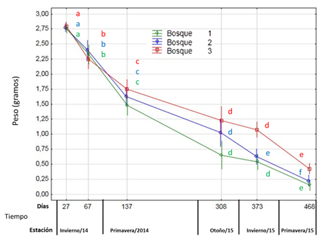 Dinmica de la descomposicion de hojas de C. illinoinensis. Letras minsculas diferentes indican diferencias significativas (p <0,05) en el peso remanente de hojas para diferentes momentos en cada bosque.