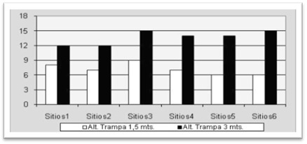 Abundancia de R. prosopis capturados con trampas Scolytoidea ubicadas a 1,5 y 3 m de altura en seis formaciones de P. alba.