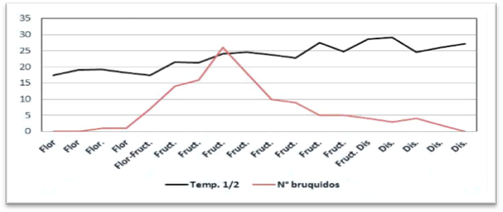 Abundancia absoluta de R. prosopis capturados en trampas Scolytoidea segn temperatura promedio en (C).
