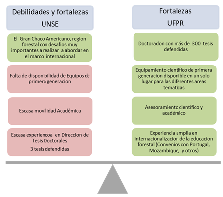 Debilidades y fortalezas de las instituciones participantes