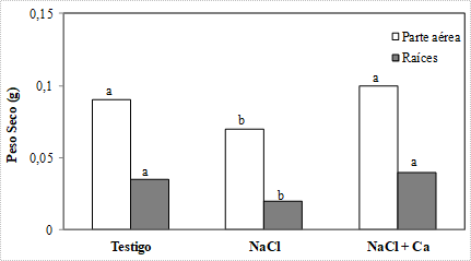 Peso seco de hojas y raíces de plántulas de vinal, crecidas en solución nutritiva de Hoagland 25 % (Testigo), con adición de 0,4 mol L-1 de NaCl (NaCl), y con adición de 0,4 mol L-1 de NaCl y 5 mmol L-1 de CaSO4 (NaCl + Ca). Para cada parte (hojas y raíces), barras seguidas por letras diferentes, difieren estadísticamente por el Test de Duncan al 5 %.