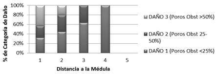 Número de vasos obstruidos dependiendo de su intensidad de afección en función de la distancia a la médula.