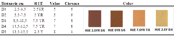 Categoría asignada al registro de color de la moda según distancia