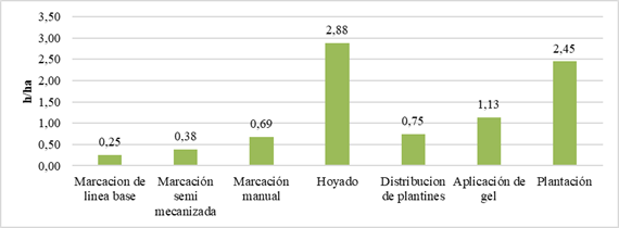 Tiempo promedio de ejecución por actividad