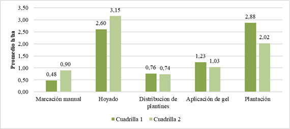 Tiempo promedio de ejecución por actividad según cuadrilla