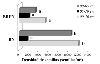 Densidad de semillas del BSS (semillas/m2) en bosques del Espinal (Entre Ríos, Argentina).