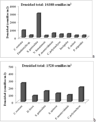 Densidad de semillas (semillas/m2) por especie y por profundidad para las especies de mayor densidad relativa.