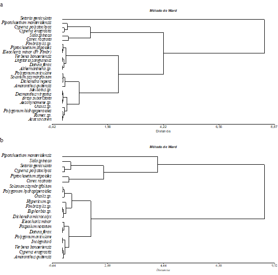 Clasificación de especies del BSS para T1 (Bosque Nativo)