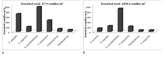 Densidad de semillas (semillas/m2) por especie y por profundidad para las especies de mayor densidad relativa