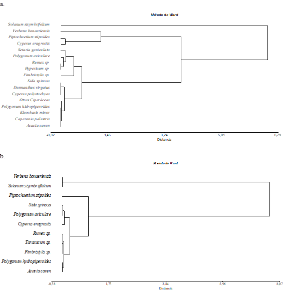 Clasificación de especies del BSS para T2 (Renoval de A. caven)
