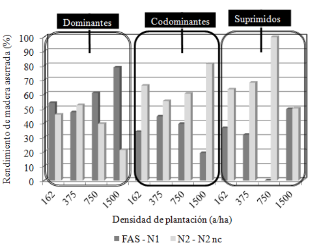 . Rendimiento en madera aserrada según posición sociológica y densidad de plantación