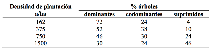 Distribución diamétrica porcentual según densidad de plantación