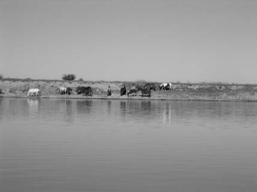 Área que poseía bosque mixto, completamente degradada por la sobrecarga ganadera.