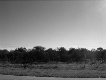 Planicie con sabanas arbustivas.