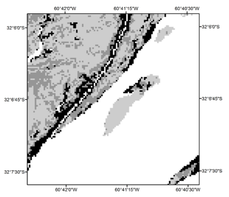 Detalle de la Isla El Rico, cercana a la localidad de Diamante, Entre Ríos, donde se observan las asociaciones espaciales entre alisales (negro), en los bordes de los albardones, y sauzales o bosques mixtos (gris claro).