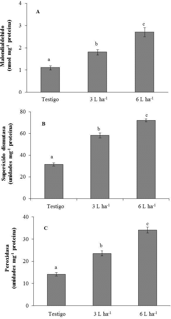 Concentraci�n malondialdeh�do (A), y actividades super�xido dismutasa (B), y peroxidasa (C), en hojas de E. camaldulensis tratadas agua destilada (testigo), o dosis de 3 y 6 L ha-1 de glifosato. Letras diferentes indican diferencias significativas por el Test de Fisher (p < 0,05).