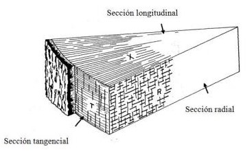 Planos de corte en la madera