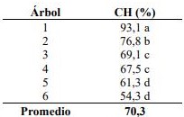 Contenido de humedad (%) por �rbol de la especie Pinus taeda L.