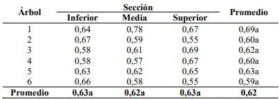 Densidad b�sica (g/cm3) por �rbol y secci�n de la especie Pinus taeda L.