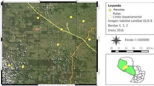Localizaci�n del �rea de muestreo. Mapa de identificaci�n de parcelas de sistemas silvopastoriles asociados a algarrobos.