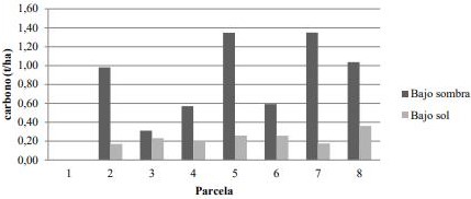 Carbono en pastura, Chaco Central.