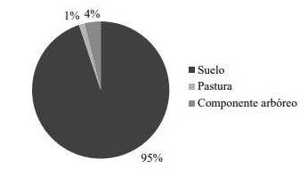  Porcentaje del aporte de carbono de los componentes al sistema silvopastoril, Chaco Central.