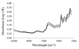 The NIR diffuse reflectance of wood samples from three radial positions