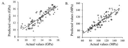 Plots of measured versus predicted values for the variables (A) modulus of elasticity (MOE); (B) modulus of rupture (MOR). Circles indicate the calibration set and plus signs indicate the validation set. The tendency line was adjusted on the calibration set.