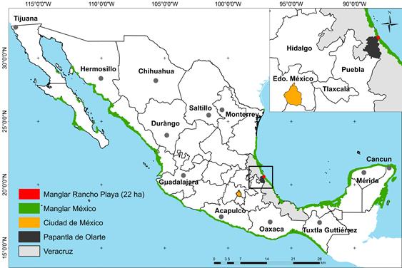 Ubicación espacial en el contexto nacional de las superficies con manglar de la localidad de Rancho Playa municipio de Papantla de Olarte en el Estado de Veracruz México