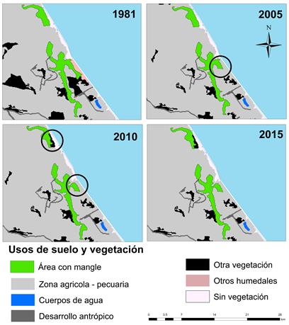 Comparación de la dinámica de uso de suelo en la comunidad Rancho Playa para los periodos 1981, 2005, 2010 y 2015. En círculo se marcan los cambios más significativos de pérdida de mangle.