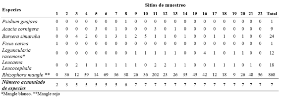 Número de individuos registrados de cada especie y número de especies acumuladas presentes en la región de Rancho Playa durante 22 sitios de muestreo conglomerados