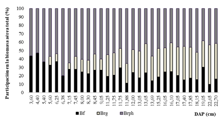 Participacin de los componentes estructurales en la biomasa area total (%) de individuos de Vachellia caven en bosques nativos del Espinal (Entre Ros).
