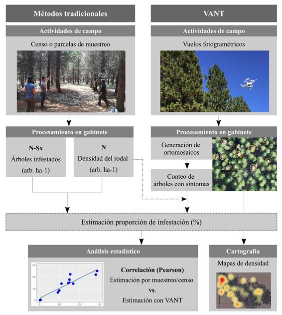 Resumen del flujo metodolgico desarrollado incluyendo las actividades de campo y de procesamiento en gabinete