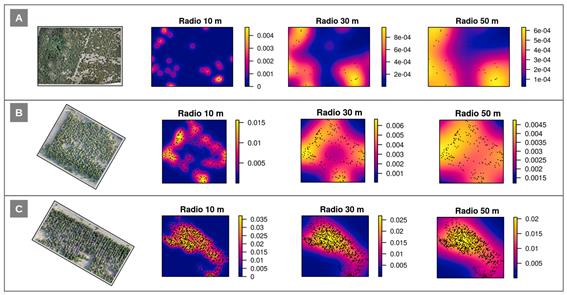 Ejemplos de tres rodales con distintas proporciones de infestacin observadas con el VANT. A) Bajo nivel de infestacin (0,38 %). B) Mediano nivel de infestacin (9,8 %). C) Alto nivel de infestacin (28,8 %). Para cada rodal se muestran los mapas de densidad generados con radios de bsqueda de kernel distintos (10, 30 y 50 metros) y los rboles identificados con el VANT (puntos negros). La leyenda expresa el nmero de individuos infestados por metro cuadrado.