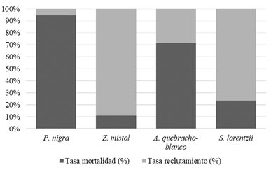 Distribución de la mortalidad y reclutamiento por especie en el período de 21 años