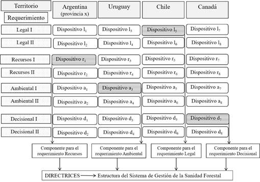 Representaci�n del dise�o de la matriz para la construcci�n de las directrices empleando los elementos de las distintas etapas metodol�gicas
