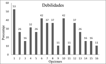 Niveles de respuesta a las debilidades de la organizaci�n, expresados en porcentaje.