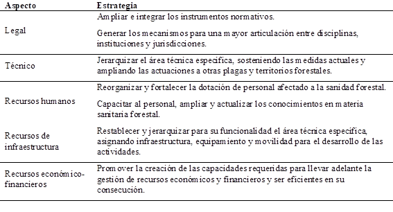Detalle de las estrategias derivadas del an�lisis FODA