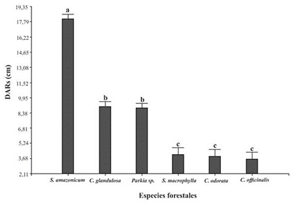 Diámetro al Ras del Suelo (DARs) (cm) de seis especies forestales a 36 meses de edad.